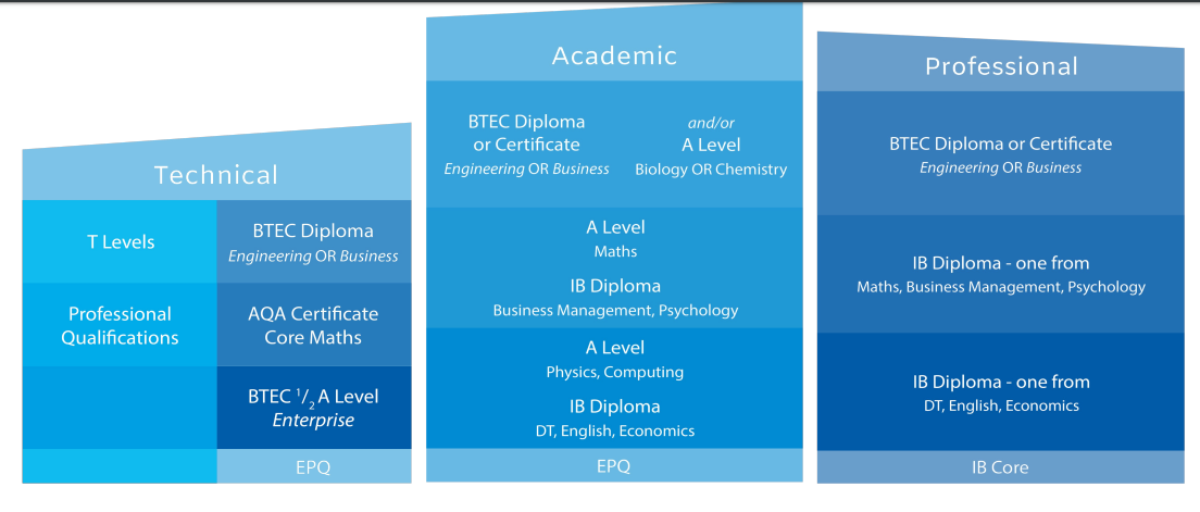 Technical, Academic, Professional pathway information