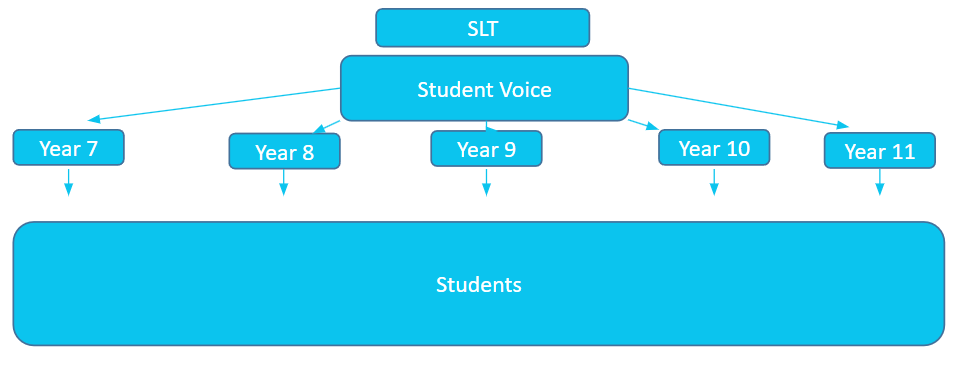 A diagram showing the hierarchy of student voice